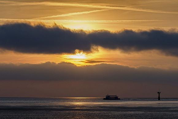 Ameland winter 2019-2020-223