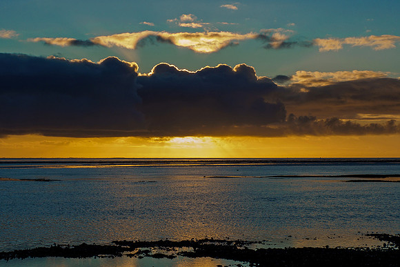 Ameland winter 2019-2020-224