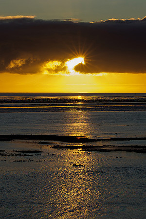 Ameland winter 2019-2020-225