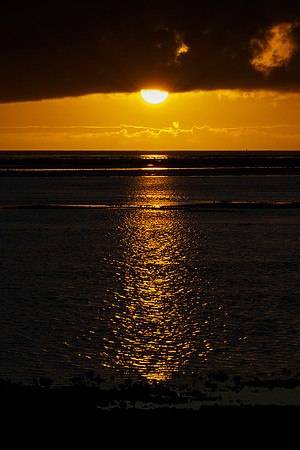 Ameland winter 2019-2020-226