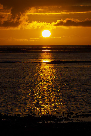 Ameland winter 2019-2020-227