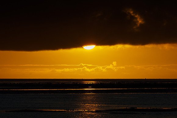 Ameland winter 2019-2020-228