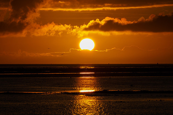 Ameland winter 2019-2020-229
