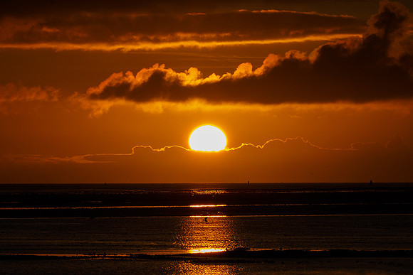 Ameland winter 2019-2020-230
