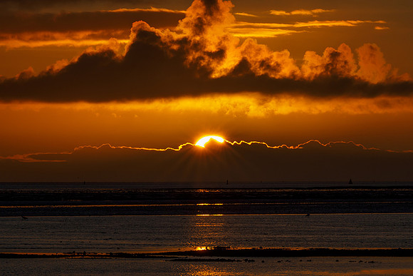Ameland winter 2019-2020-231