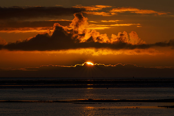 Ameland winter 2019-2020-232
