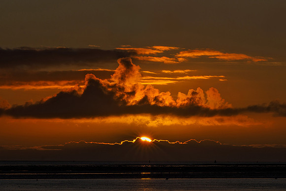 Ameland winter 2019-2020-233