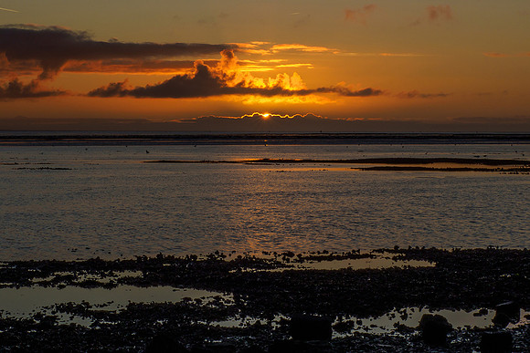 Ameland winter 2019-2020-234