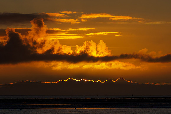 Ameland winter 2019-2020-235