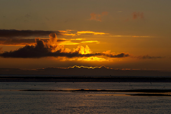 Ameland winter 2019-2020-236