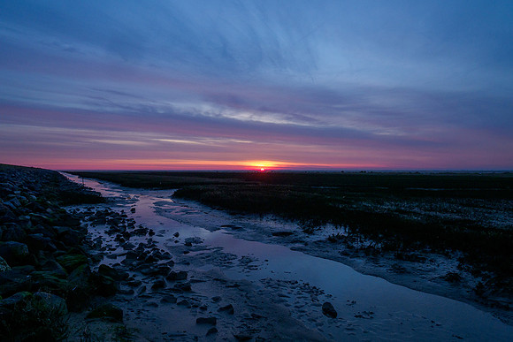 Ameland winter 2019-2020-252