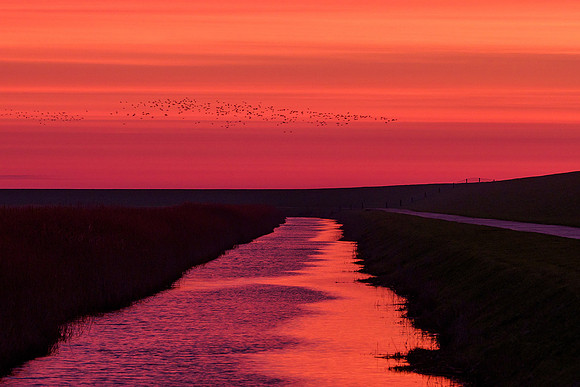 Ameland winter 2019-2020-251