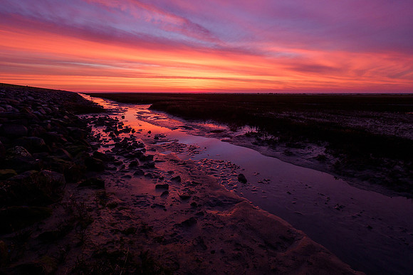 Ameland winter 2019-2020-253