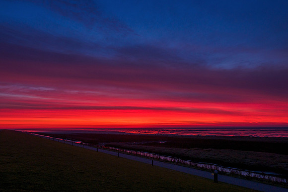 Ameland winter 2019-2020-254