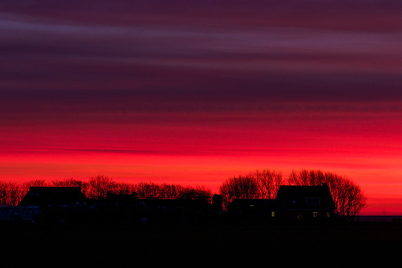 Ameland winter 2019-2020-257