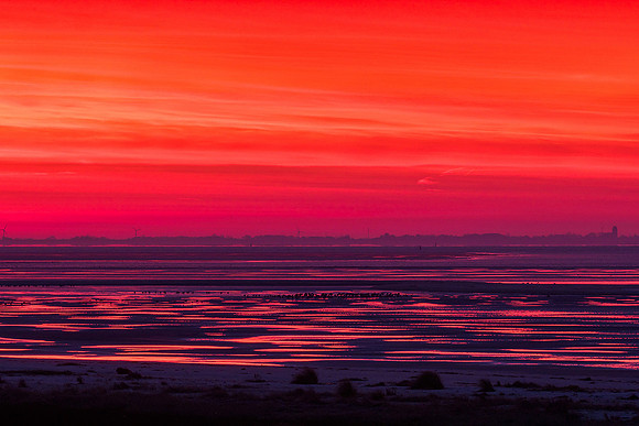Ameland winter 2019-2020-258