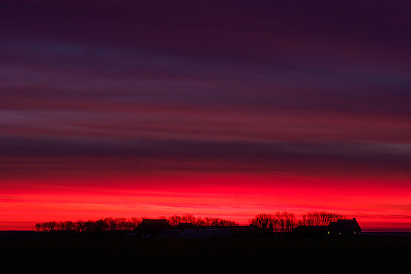 Ameland winter 2019-2020-256