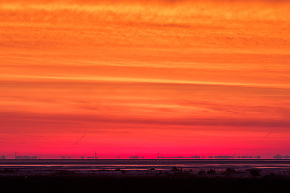 Ameland winter 2019-2020-261