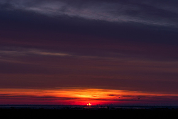 Ameland winter 2019-2020-262