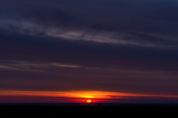 Ameland winter 2019-2020-263
