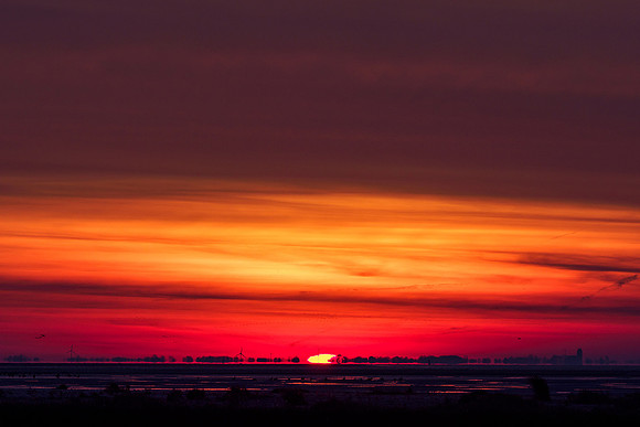 Ameland winter 2019-2020-264