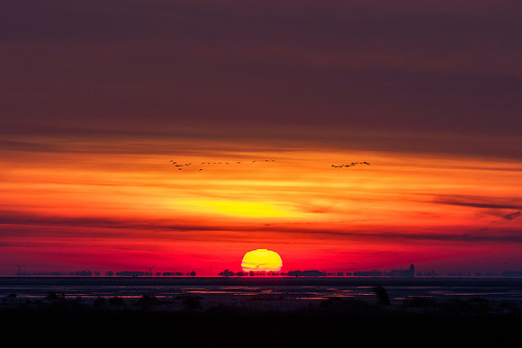 Ameland winter 2019-2020-265