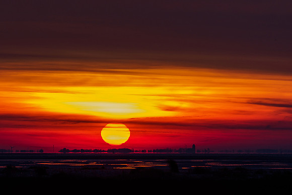 Ameland winter 2019-2020-266
