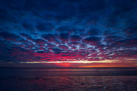 Ameland winter 2019-2020-272