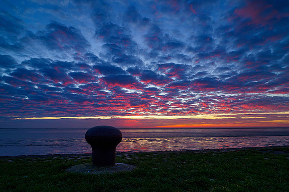 Ameland winter 2019-2020-273