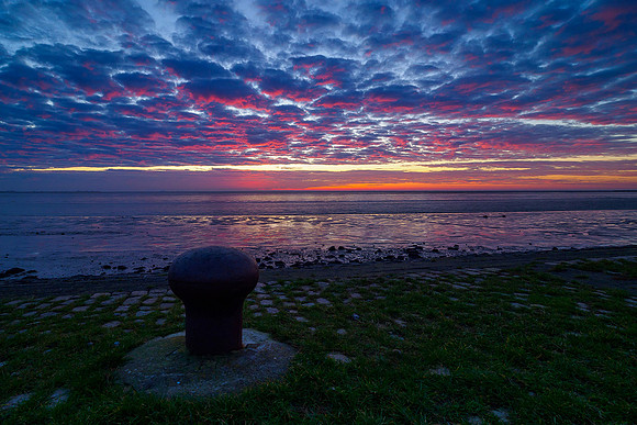 Ameland winter 2019-2020-274