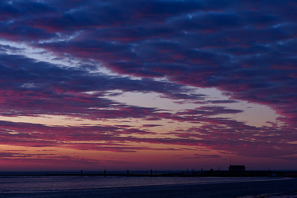 Ameland winter 2019-2020-276