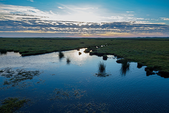 Ameland winter 2019-2020-277
