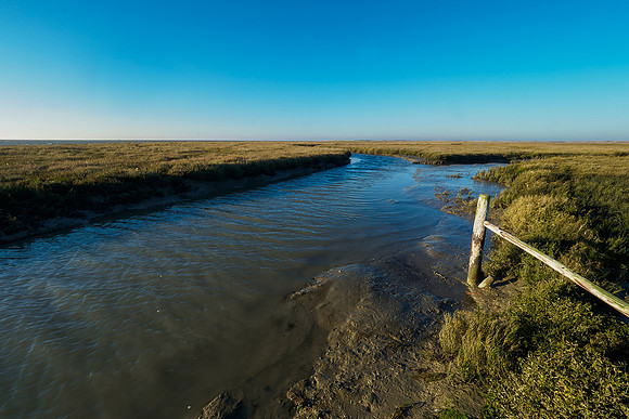 Ameland winter 2019-2020-278