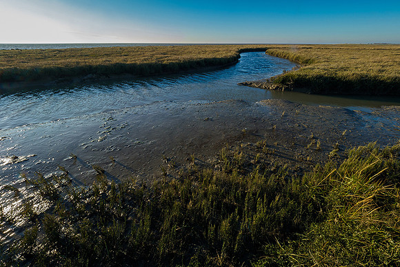 Ameland winter 2019-2020-279