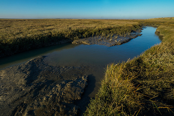 Ameland winter 2019-2020-280