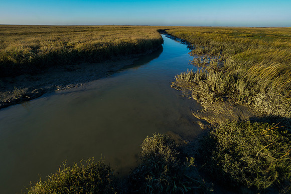 Ameland winter 2019-2020-281