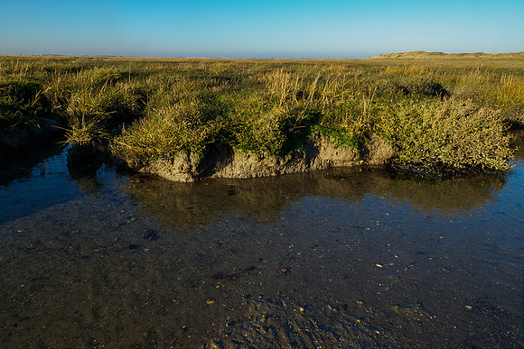 Ameland winter 2019-2020-282