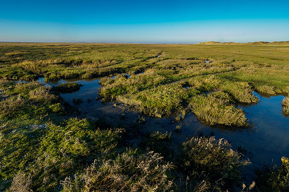 Ameland winter 2019-2020-283