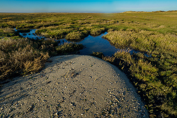 Ameland winter 2019-2020-284