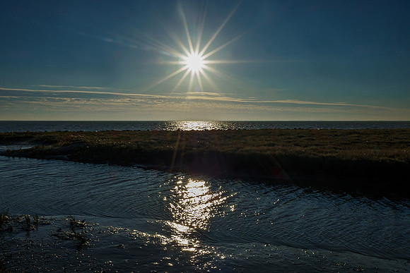 Ameland winter 2019-2020-285