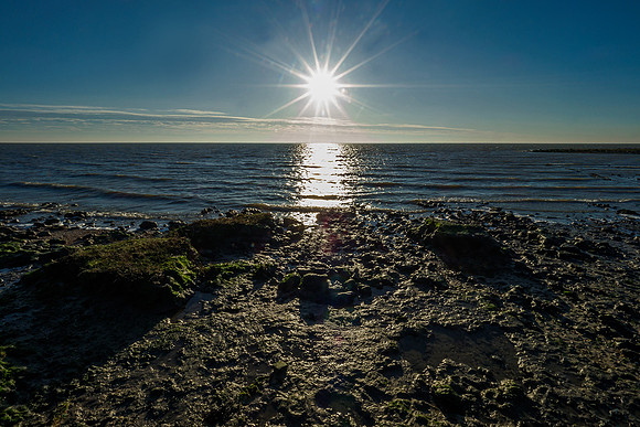 Ameland winter 2019-2020-286