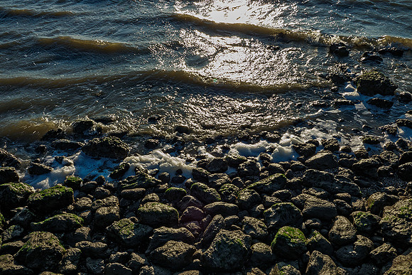 Ameland winter 2019-2020-287