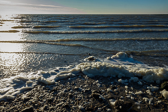 Ameland winter 2019-2020-288