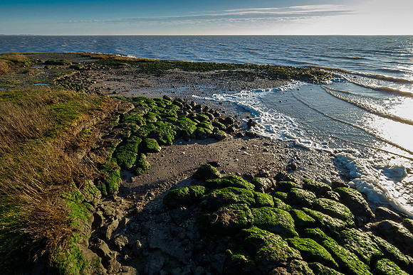 Ameland winter 2019-2020-289