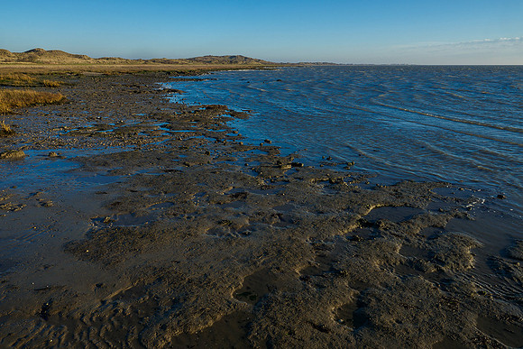 Ameland winter 2019-2020-290