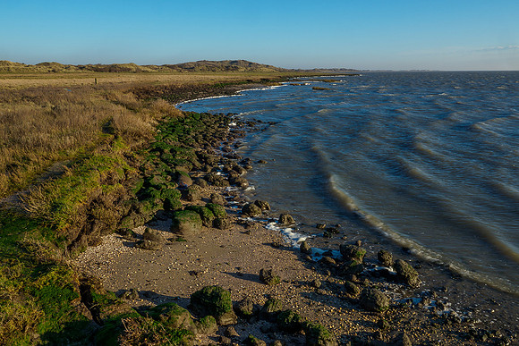 Ameland winter 2019-2020-291