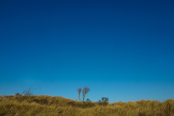 Ameland winter 2019-2020-292