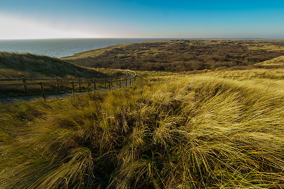 Ameland winter 2019-2020-295