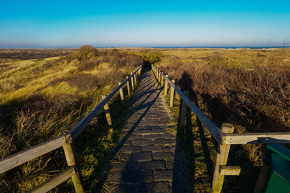 Ameland winter 2019-2020-296