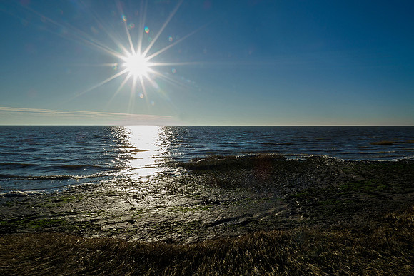 Ameland winter 2019-2020-298